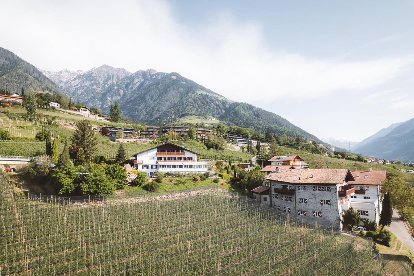 Hotel Brunnhofer Tirolo Dış mekan fotoğraf